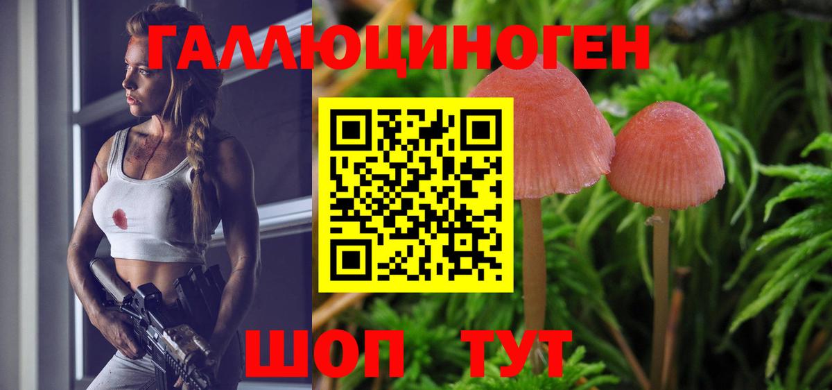 Галлюциногенные грибы мицелий  Галлюциногенные грибы Psilocybine cubensis  Вход с VPN  Наро-Фоминск 
